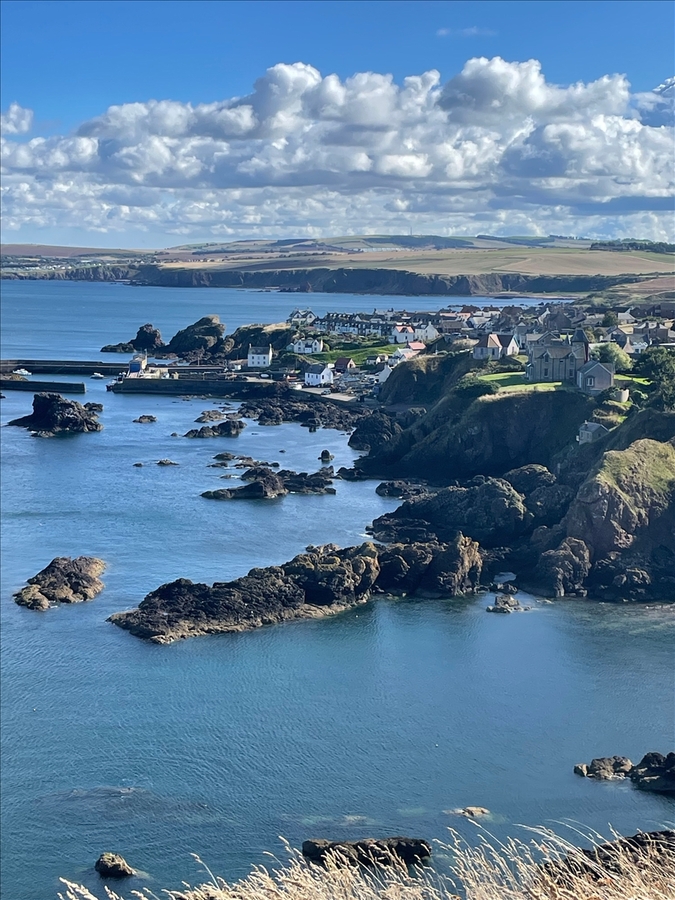 Along the Berwickshire Way - Linda Knapper - Highly Commended